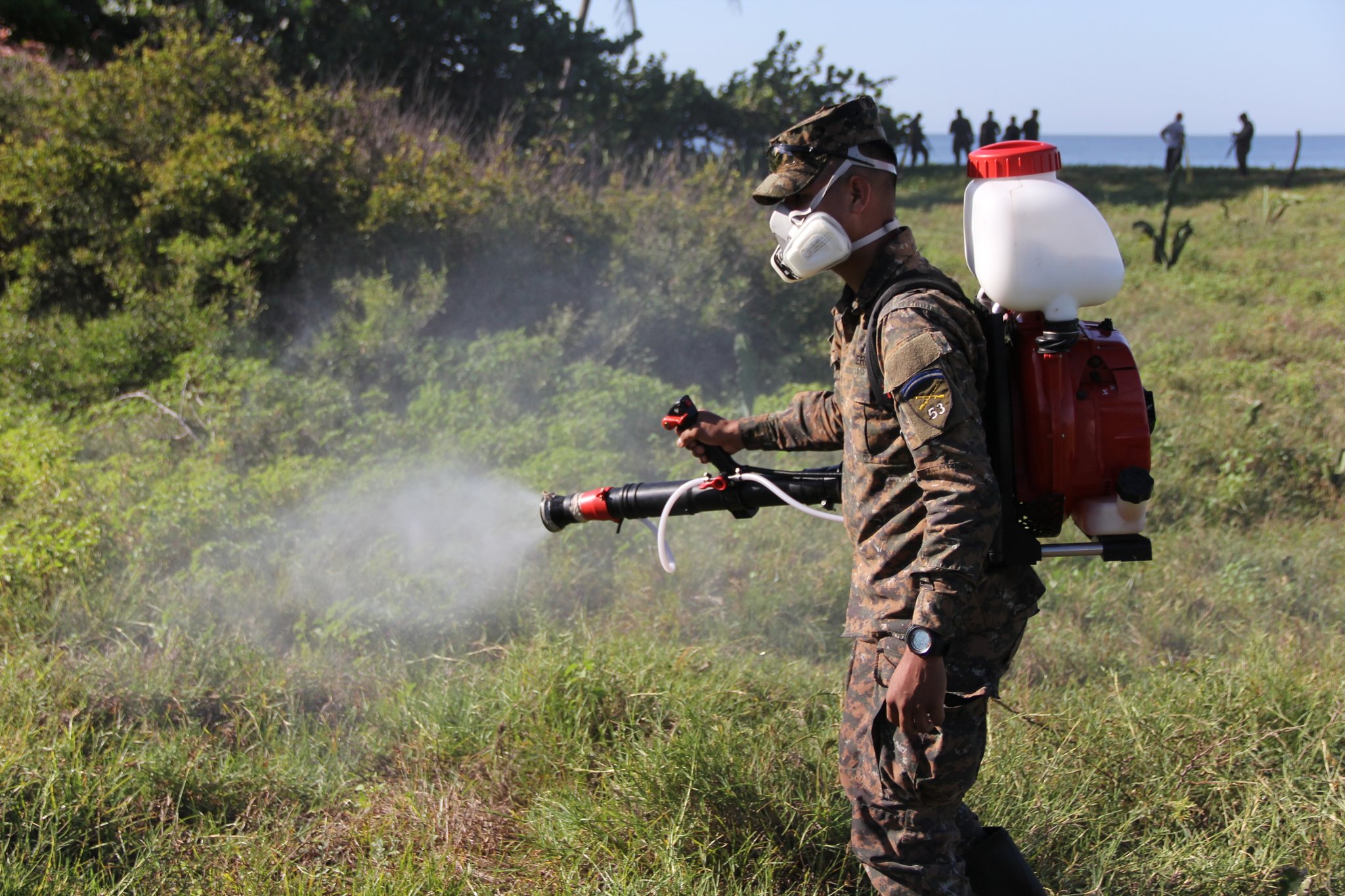 MAG y Fuerza Armada realizan jornada de fumigación para eliminar brotes de langostas mag-y-fuerza-armada-realizan-jornada-de-fumigacion-para-eliminar-brotes-de-langostas